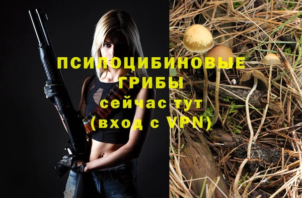 синтетический гашиш Абинск