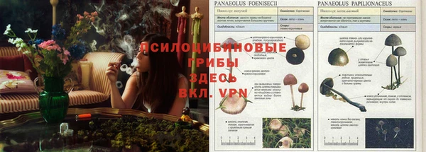 спайс Сясьстрой